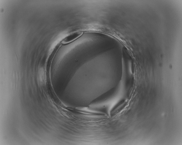 X0000066540200200603171249