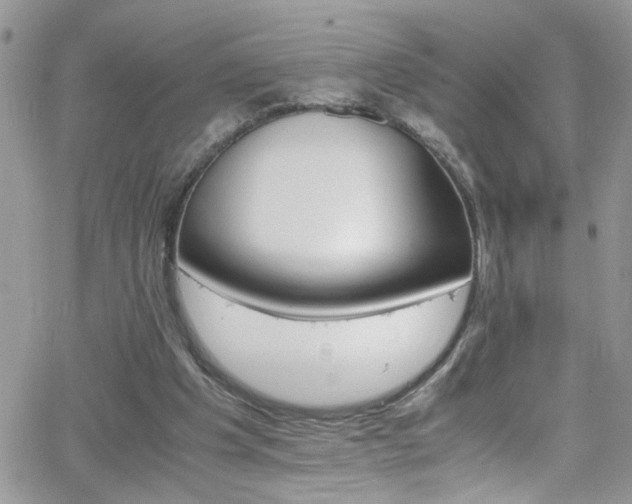 X0000066540201200603171249