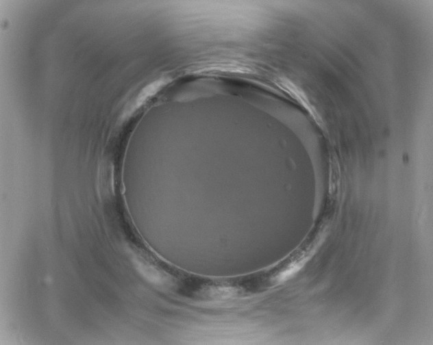 X0000066540205200603171249