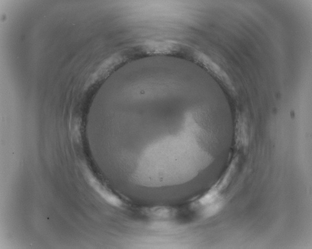 X0000066540209200603171249