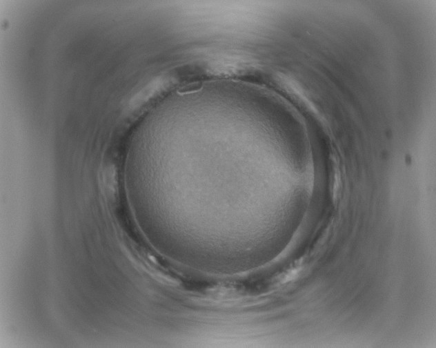 X0000066540211200603171249