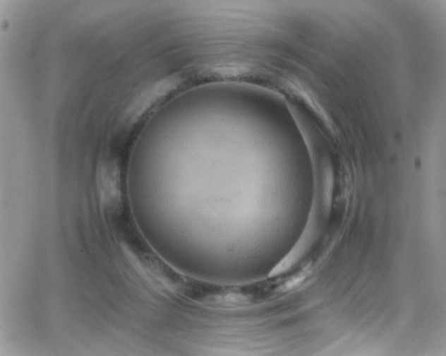 X0000066540212200603171249