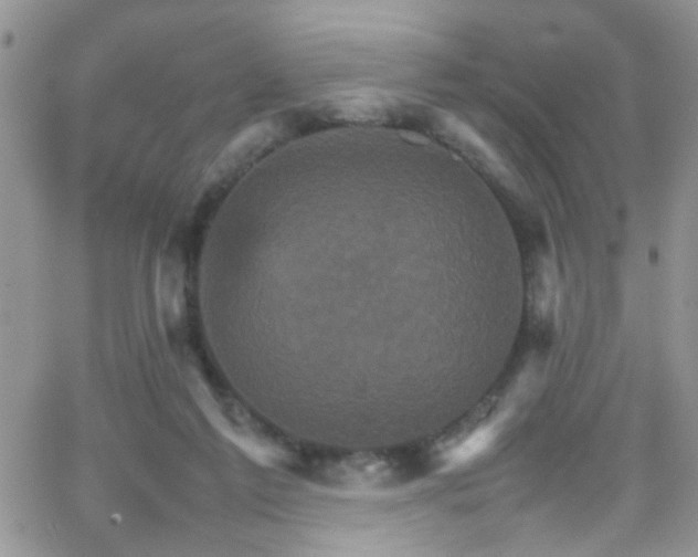 X0000066540213200603171249