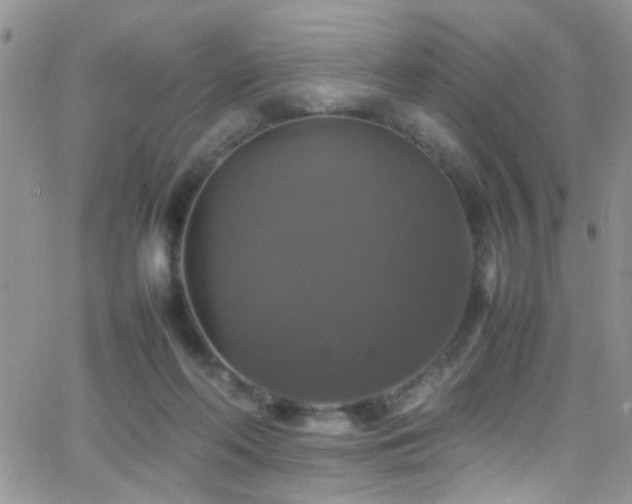 X0000066540214200603171249