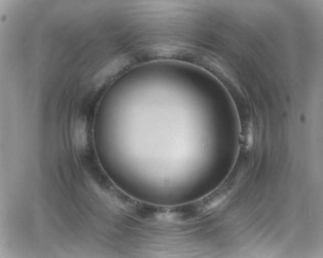 X0000066540216200603171249