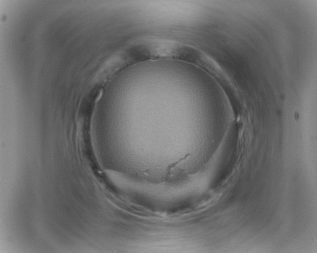 X0000066540217200603171249