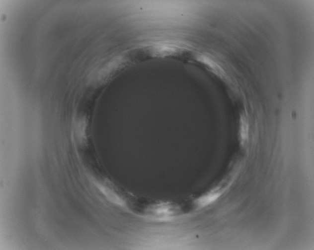 X0000066540219200603171249