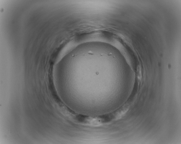 X0000066540221200603171249