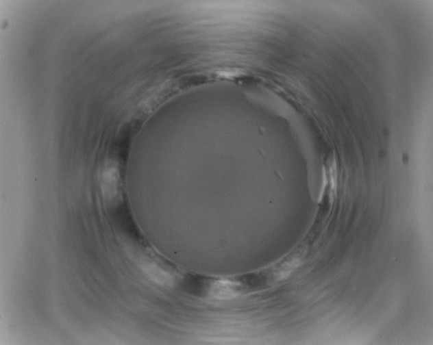 X0000066540222200603171248