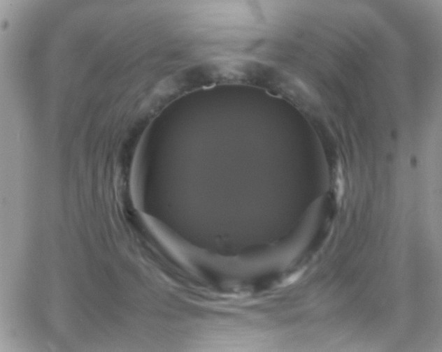 X0000066540223200603171248