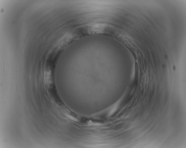 X0000066540224200603171248