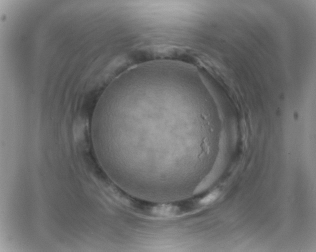 X0000066540225200603171248