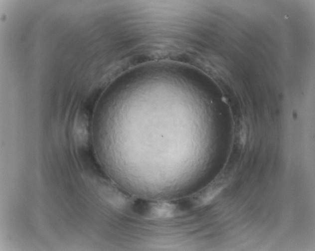 X0000066540226200603171248