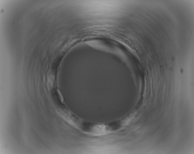 X0000066540227200603171248