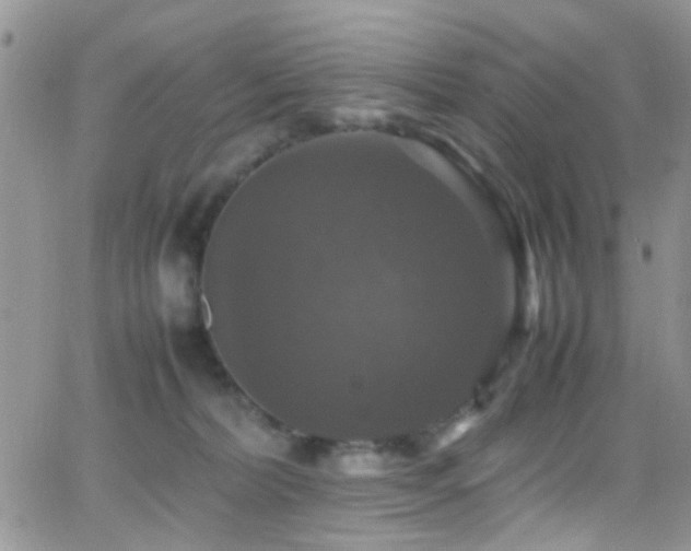 X0000066540228200603171248