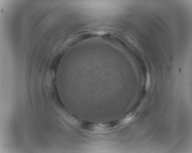 X0000066540229200603171248