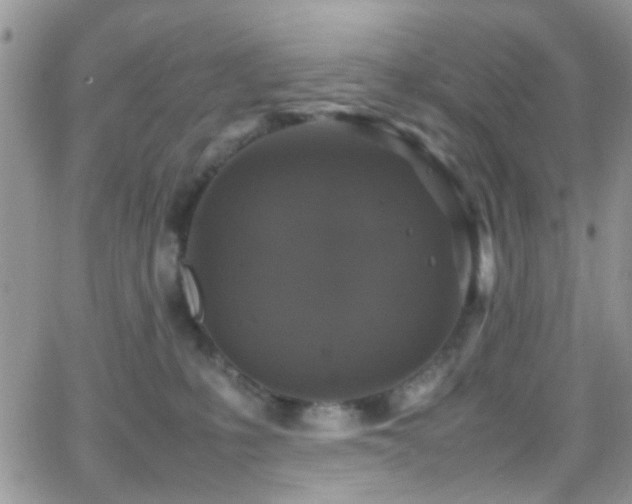 X0000066540231200603171248