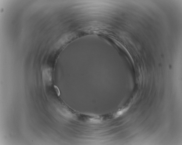 X0000066540232200603171248