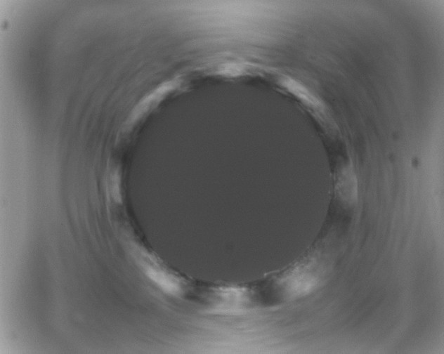 X0000066540233200603171248