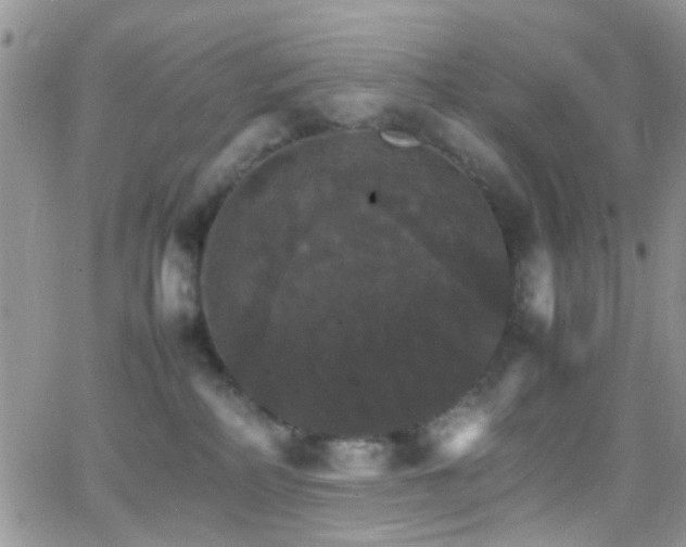 X0000066540234200603171248