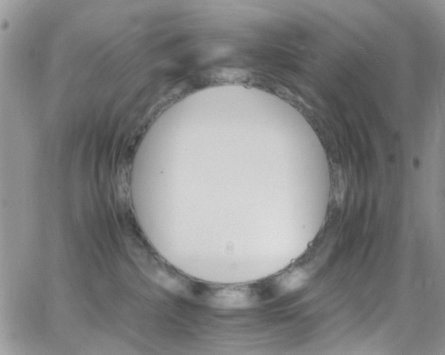 X0000066540236200603171248