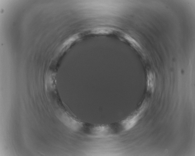 X0000066540237200603171248