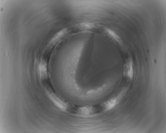 X0000066540238200603171248