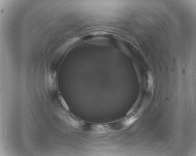 X0000066540239200603171248