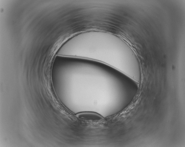 X0000066540241200603171247