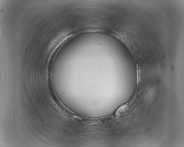 X0000066540243200603171247