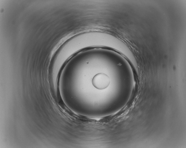 X0000066540244200603171247