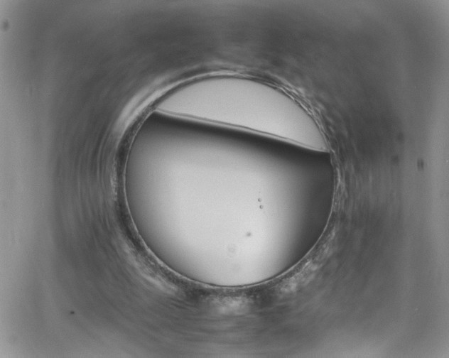 X0000066540247200603171248