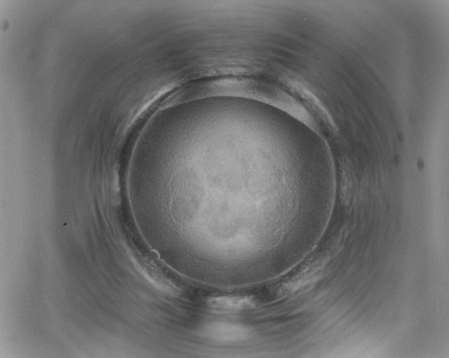 X0000066540251200603171248