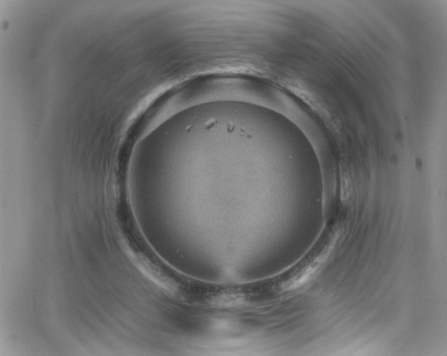 X0000066540252200603171248