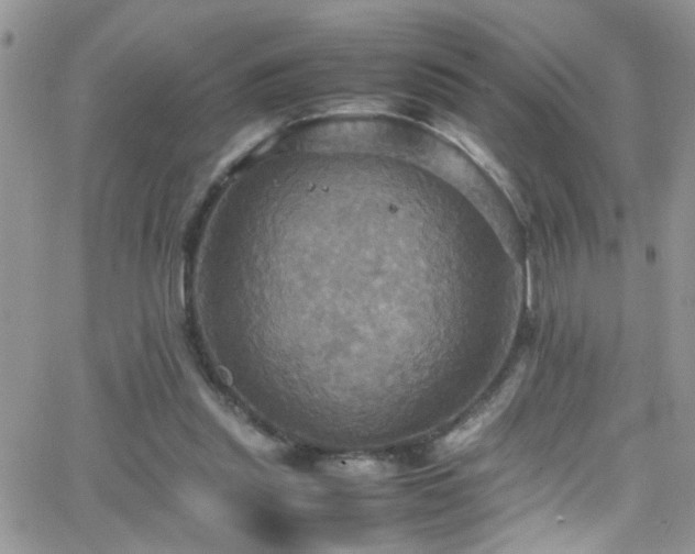 X0000066540253200603171248