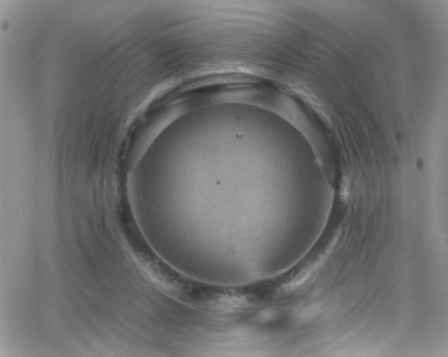 X0000066540256200603171248