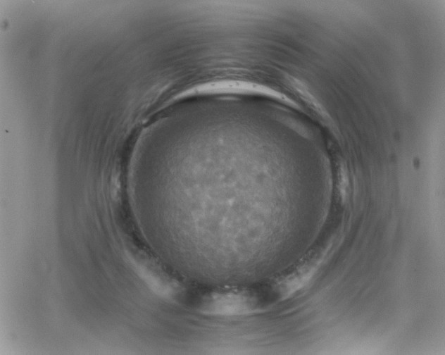 X0000066540259200603171248