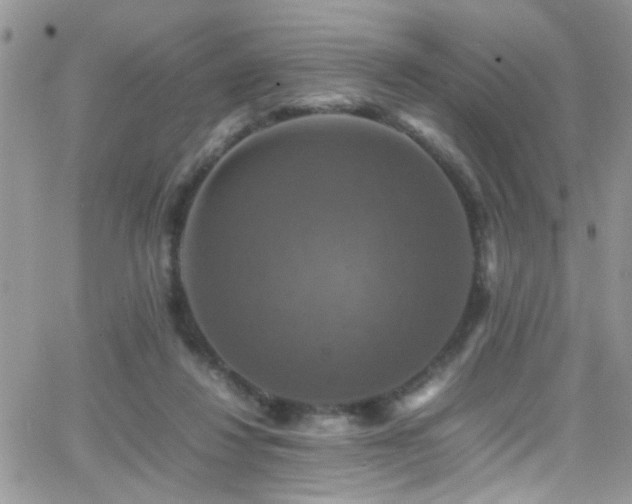 X0000066540260200603171248