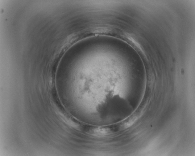 X0000066540261200603171248