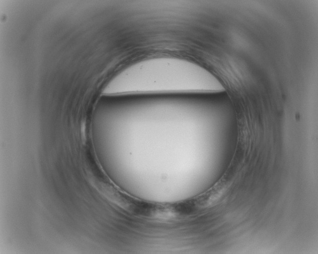 X0000066540262200603171248