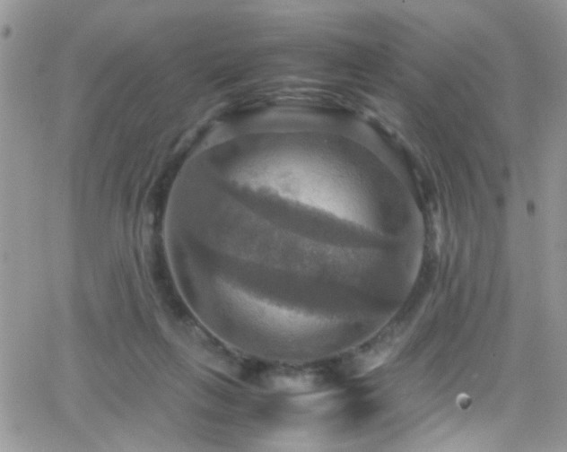 X0000066540263200603171248