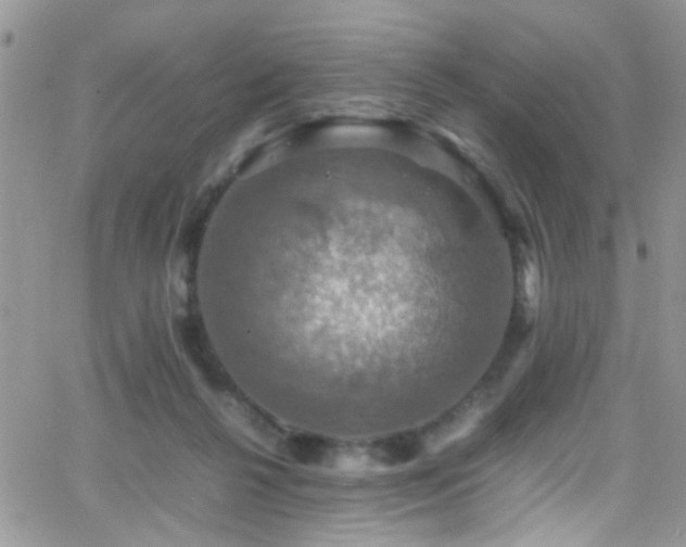 X0000066540264200603171248