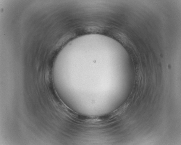 X0000066540266200603171248