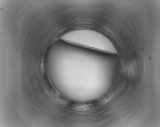 X0000066540267200603171248