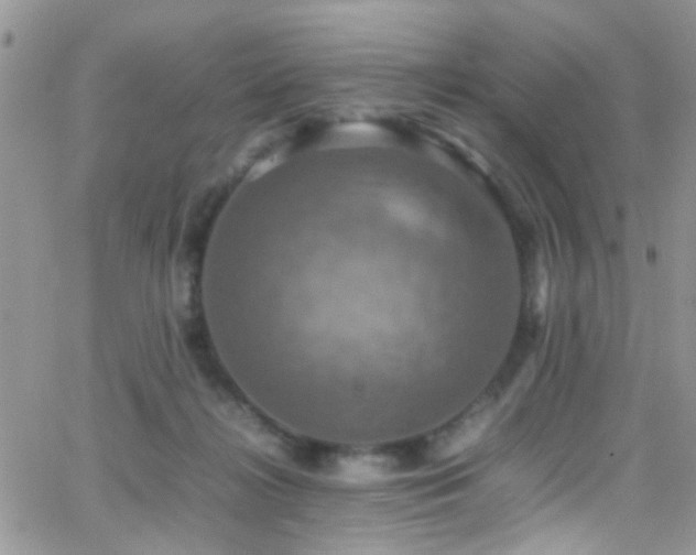 X0000066540268200603171248