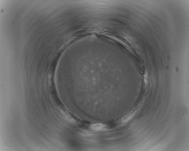 X0000066540269200603171248