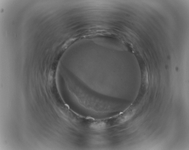 X0000066540271200603171248