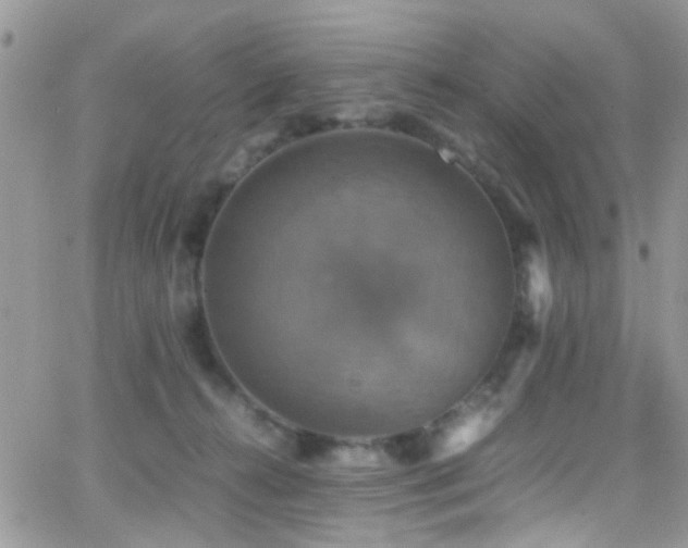 X0000066540272200603171248