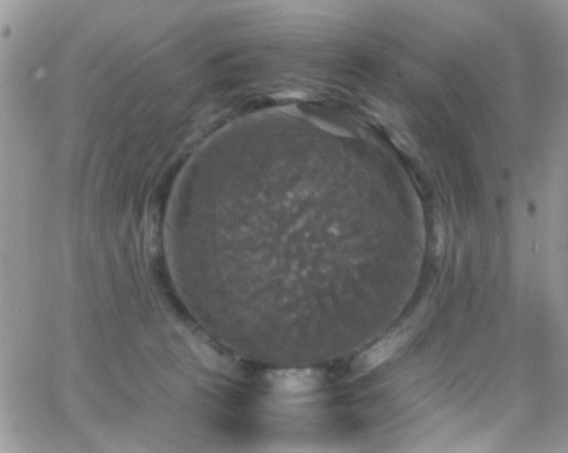 X0000066540273200603171248