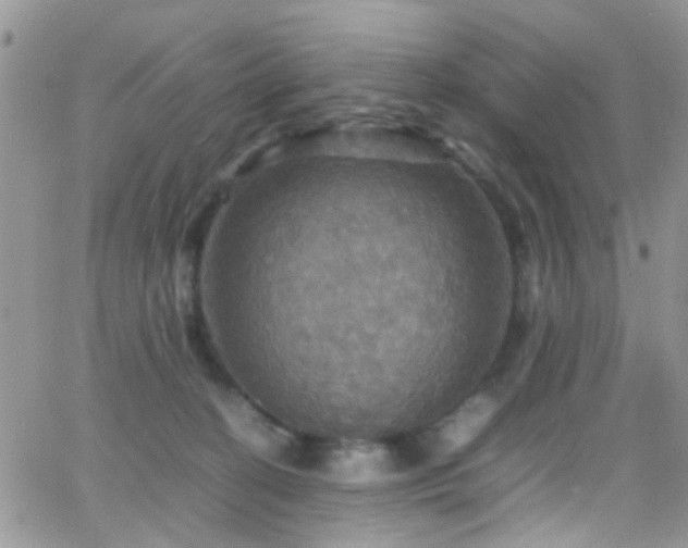 X0000066540274200603171248